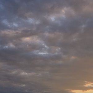 Meet your Posher, Mar